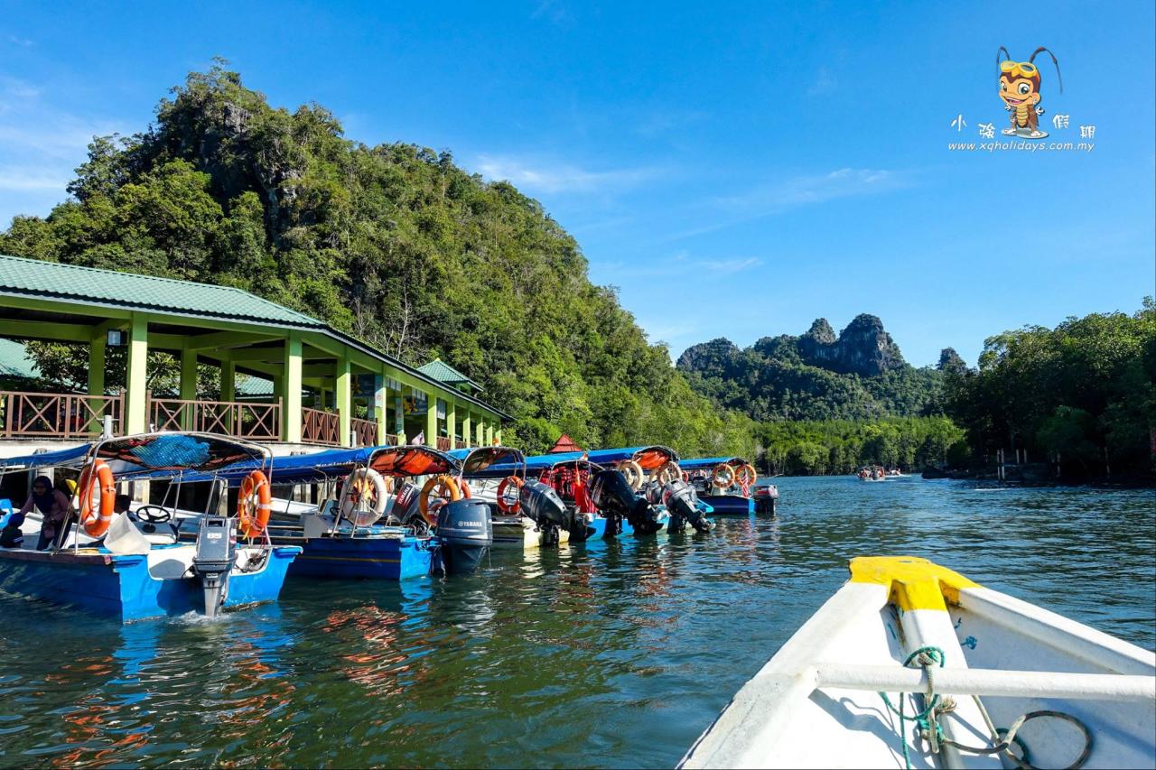 Jelajahi Keindahan Mangrove Langkawi dengan Tur Mangrove Menakjubkan