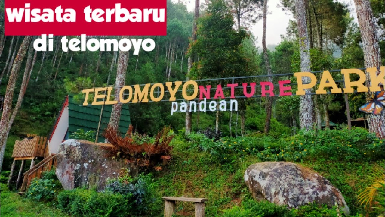 Telomoyo Nature Park: Destinasi Menakjubkan untuk Pecinta Alam